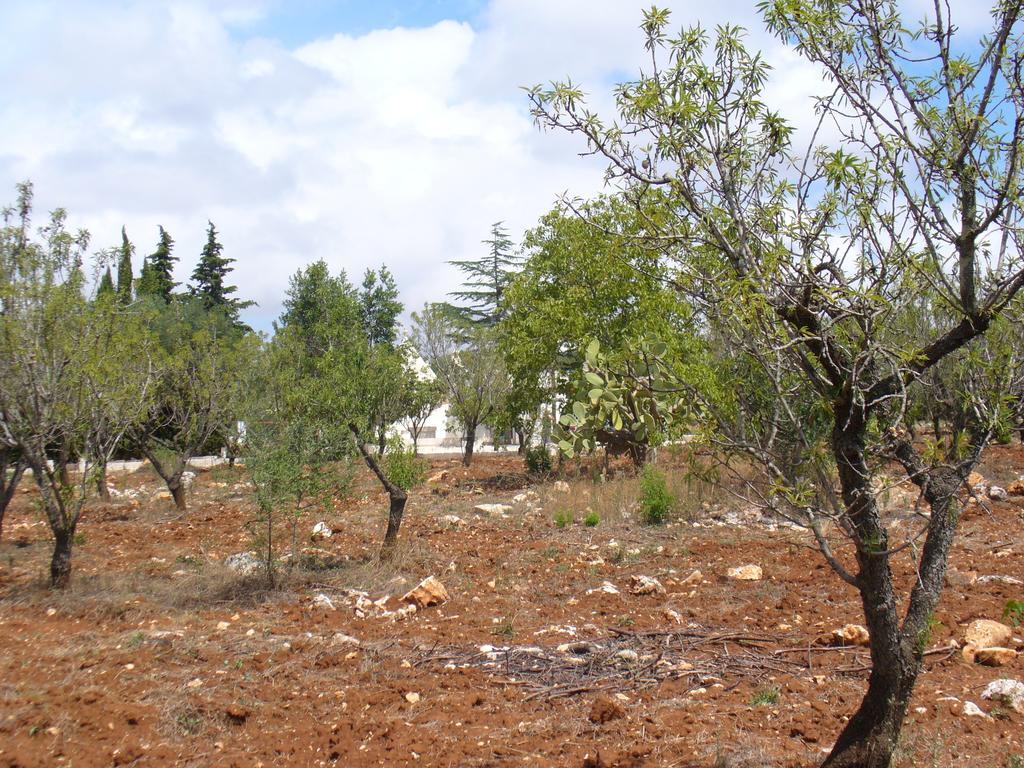 Trullo Riccardo Villa Ostuni Oda fotoğraf