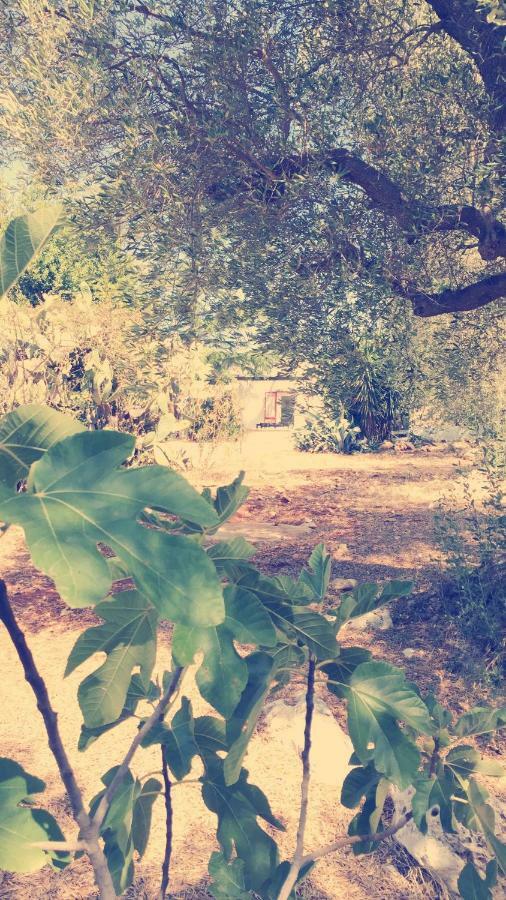 Trullo Riccardo Villa Ostuni Dış mekan fotoğraf